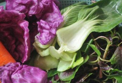 農(nóng)產(chǎn)品快速檢測設(shè)備 農(nóng)產(chǎn)品快速檢測設(shè)備