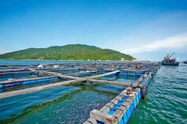 珠海市海淼水產(chǎn)公司引進我司水產(chǎn)品質(zhì)量檢測儀