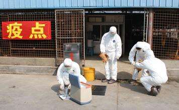 如何預(yù)防動(dòng)物疫病？