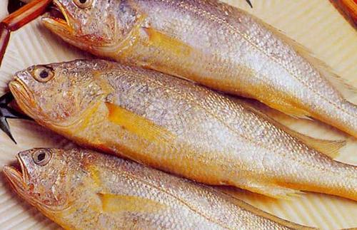 獸藥殘留檢測(cè)儀