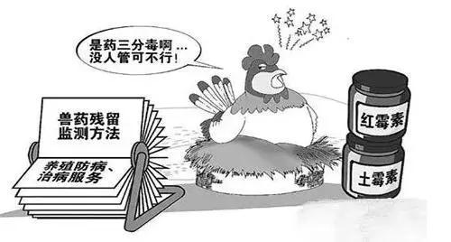 獸藥殘留超標(biāo)新聞依然不斷,3種獸藥再次被禁止使用于動(dòng)物中