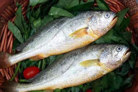 黑魚中檢測出孔雀石綠超標(biāo)，黃魚中檢測出氧氟沙星超標(biāo)