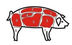 病害肉檢測(cè)儀讓老百姓吃上放心肉！