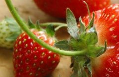 農(nóng)殘快速檢測儀成為消費者蔬菜安全守護(hù)者