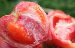 為何建議超市配備食品安全檢測儀？