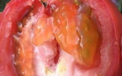 農(nóng)殘快速檢測儀如何做到保障農(nóng)產(chǎn)品安全的？